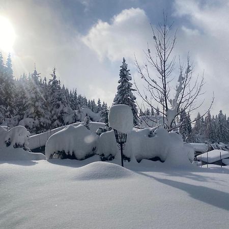 Appartementhaus Hochkoenig - Panoramablick Mühlbach am Hochkönig Екстериор снимка