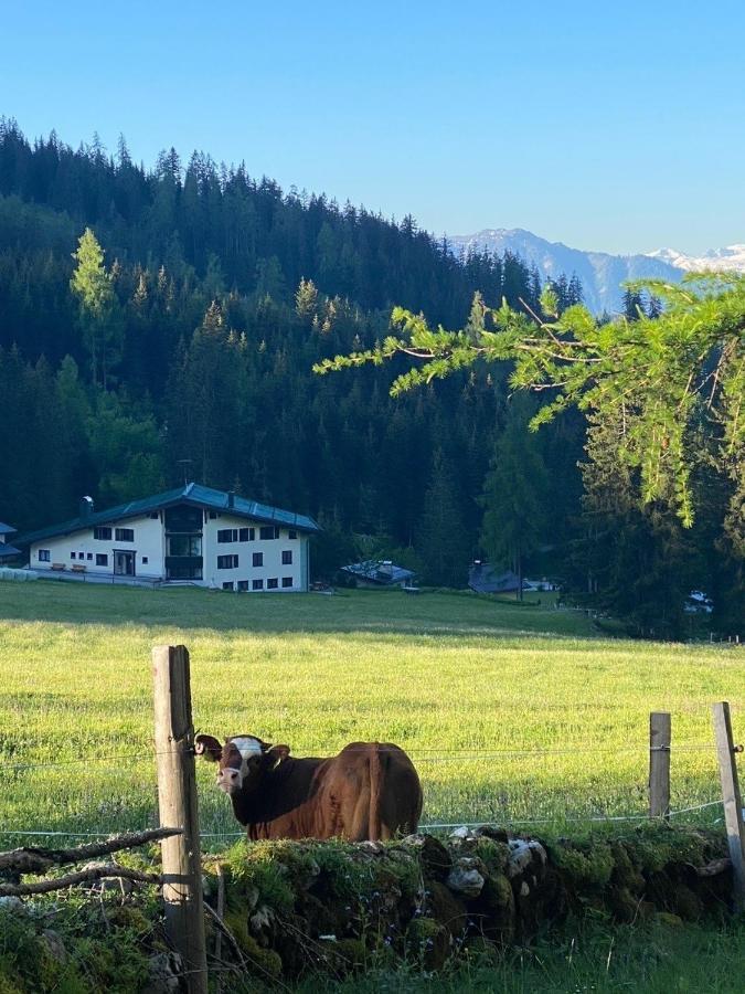 Appartementhaus Hochkoenig - Panoramablick Mühlbach am Hochkönig Екстериор снимка