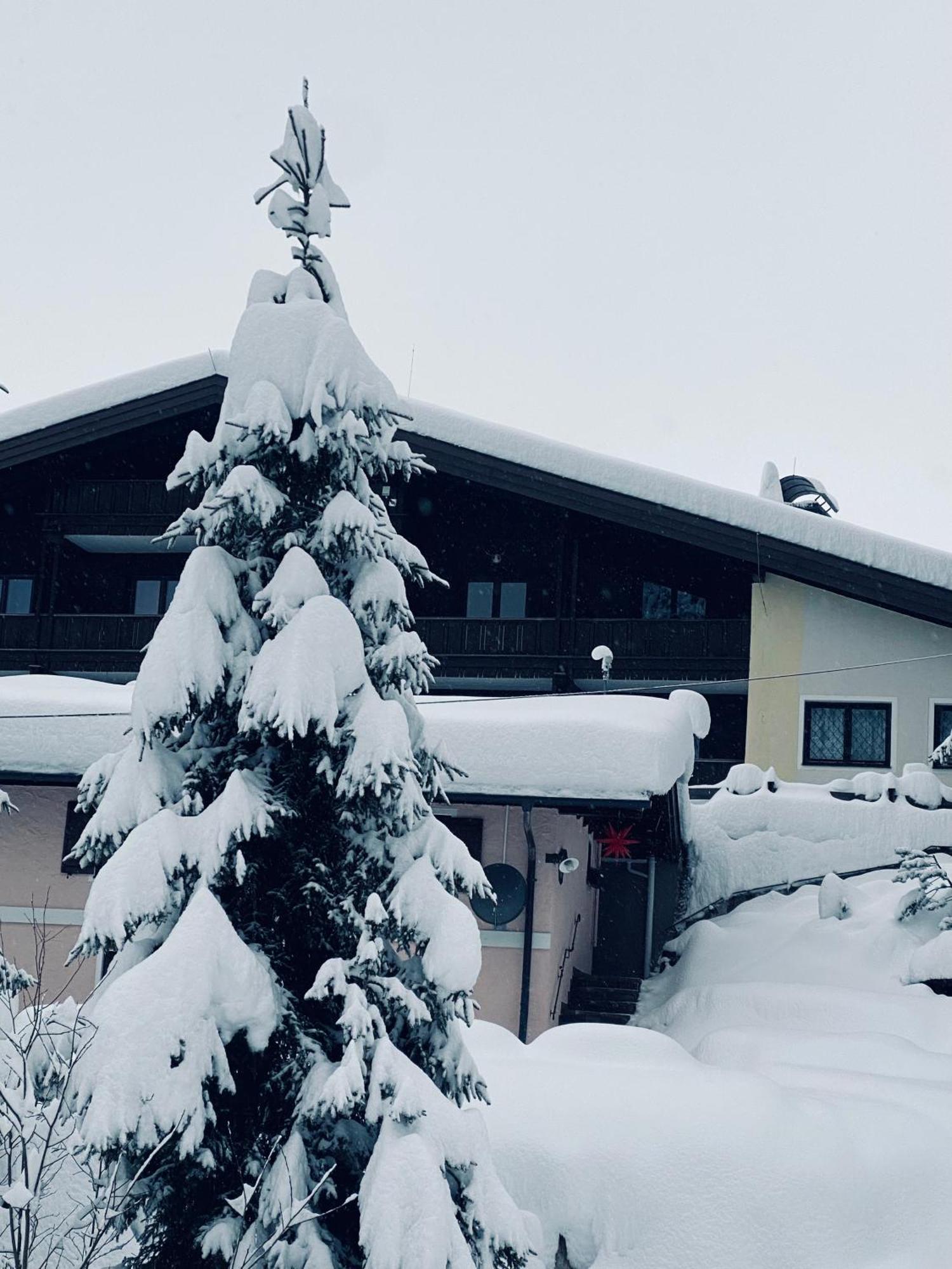 Appartementhaus Hochkoenig - Panoramablick Mühlbach am Hochkönig Екстериор снимка