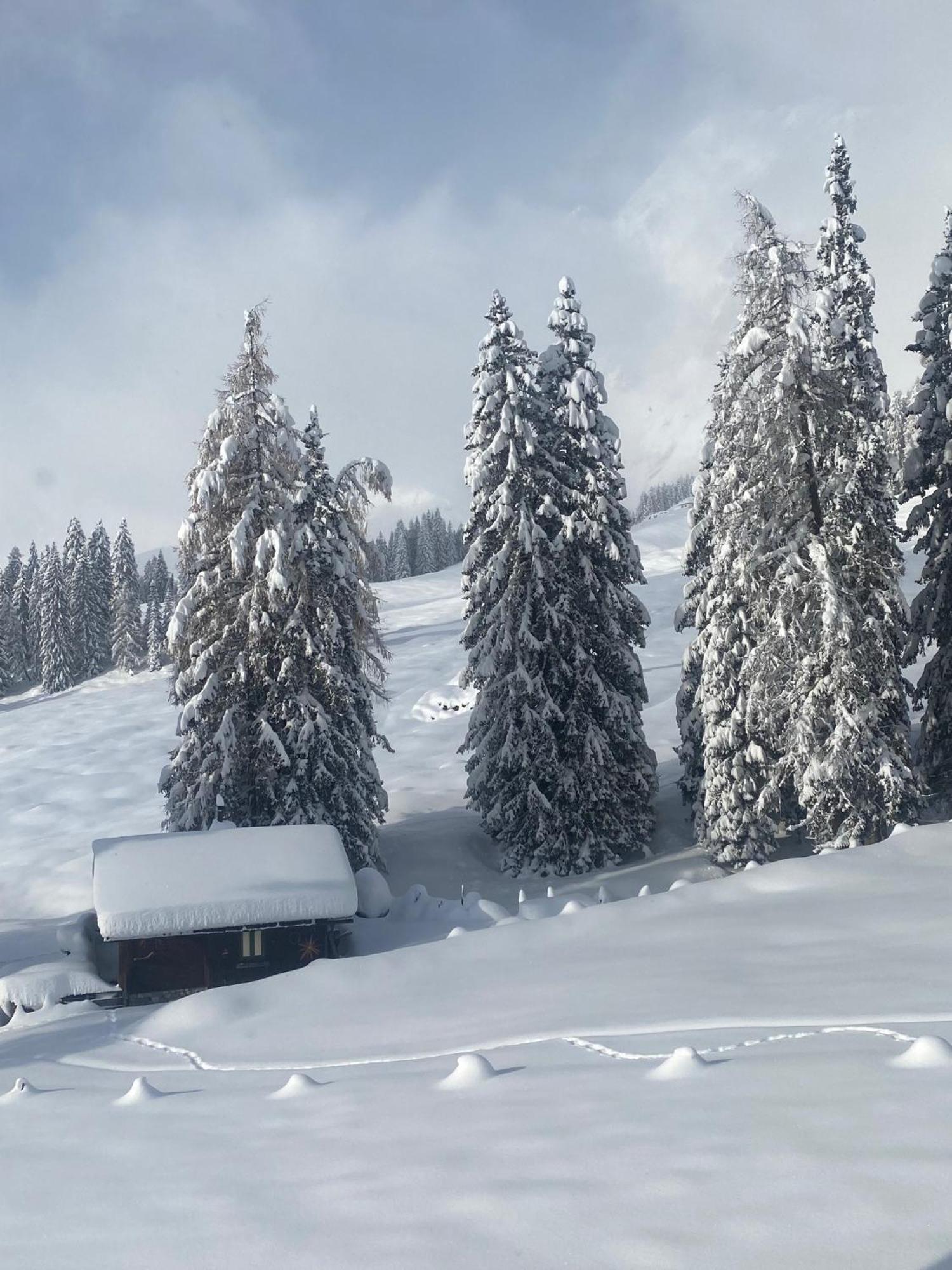 Appartementhaus Hochkoenig - Panoramablick Mühlbach am Hochkönig Екстериор снимка